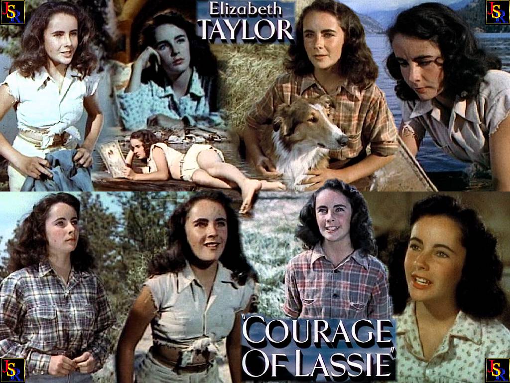 Elizabeth Taylor Elizabeth Taylor In Courage Of Lassie 1946 