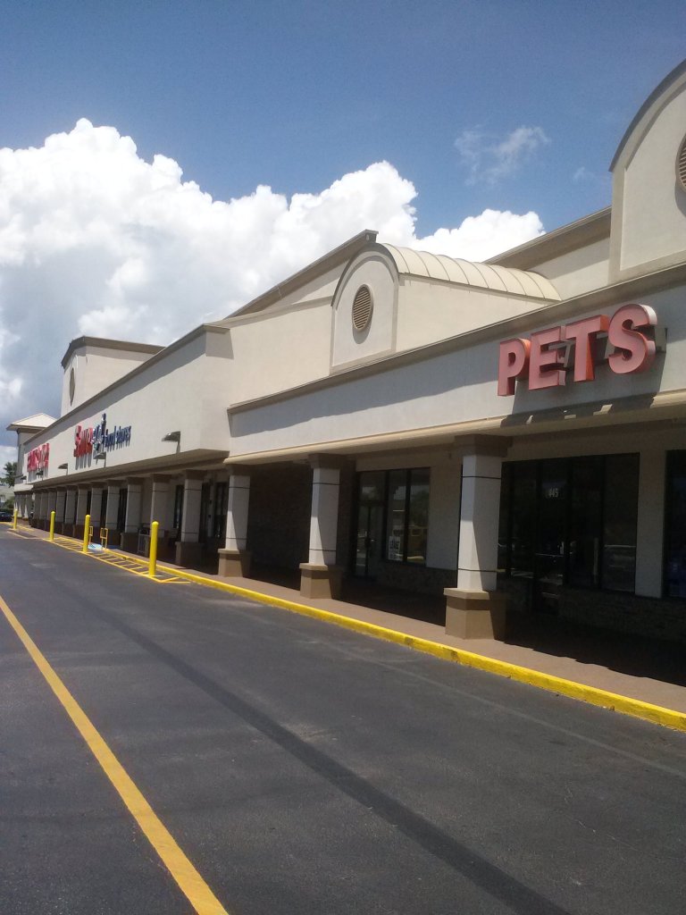 The World's Greatest Cathouse Love vs Hate The True Story of Puffy