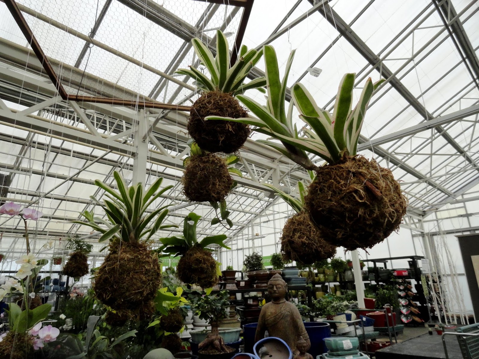 danger garden nursery visits on the way to Seattle...