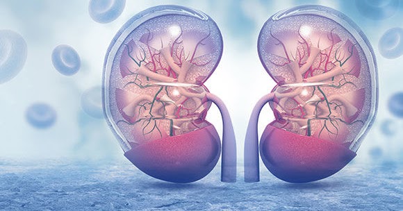 Albumin Creatinine Ratio albumin-creatinine-ratio
