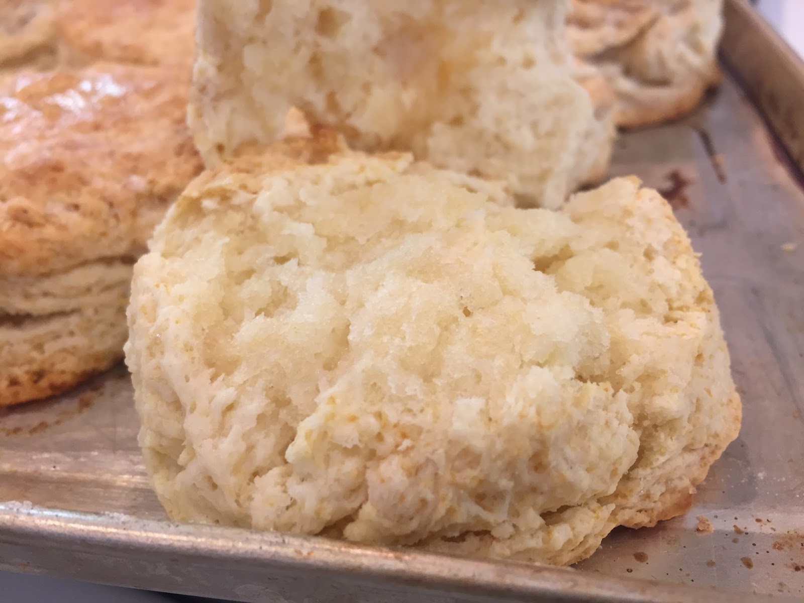 Let's Rock Like da Vinci Cook Away! Tasty Soft and Fluffy Sour Cream