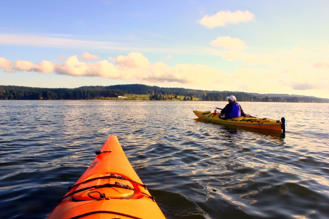 Keith Nicol Adventures Explore by sea kayaking in the Courtenay area