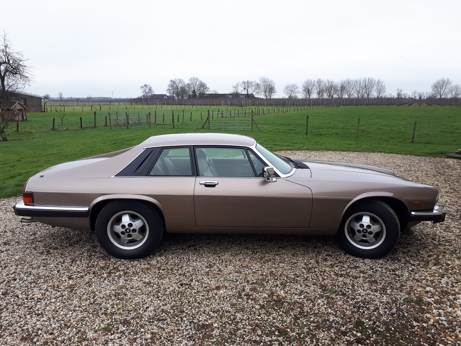 Jaguar XJS Car Cover & Wing cover