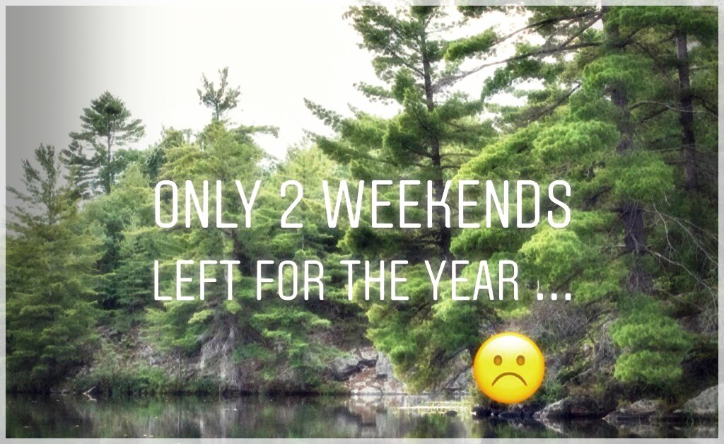 CabinLife-95107422470