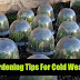 9 Gardening Tips For Cold Weather