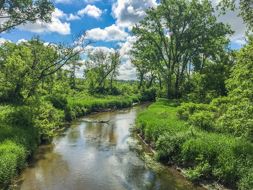 Sugar River on the Badger State Trail