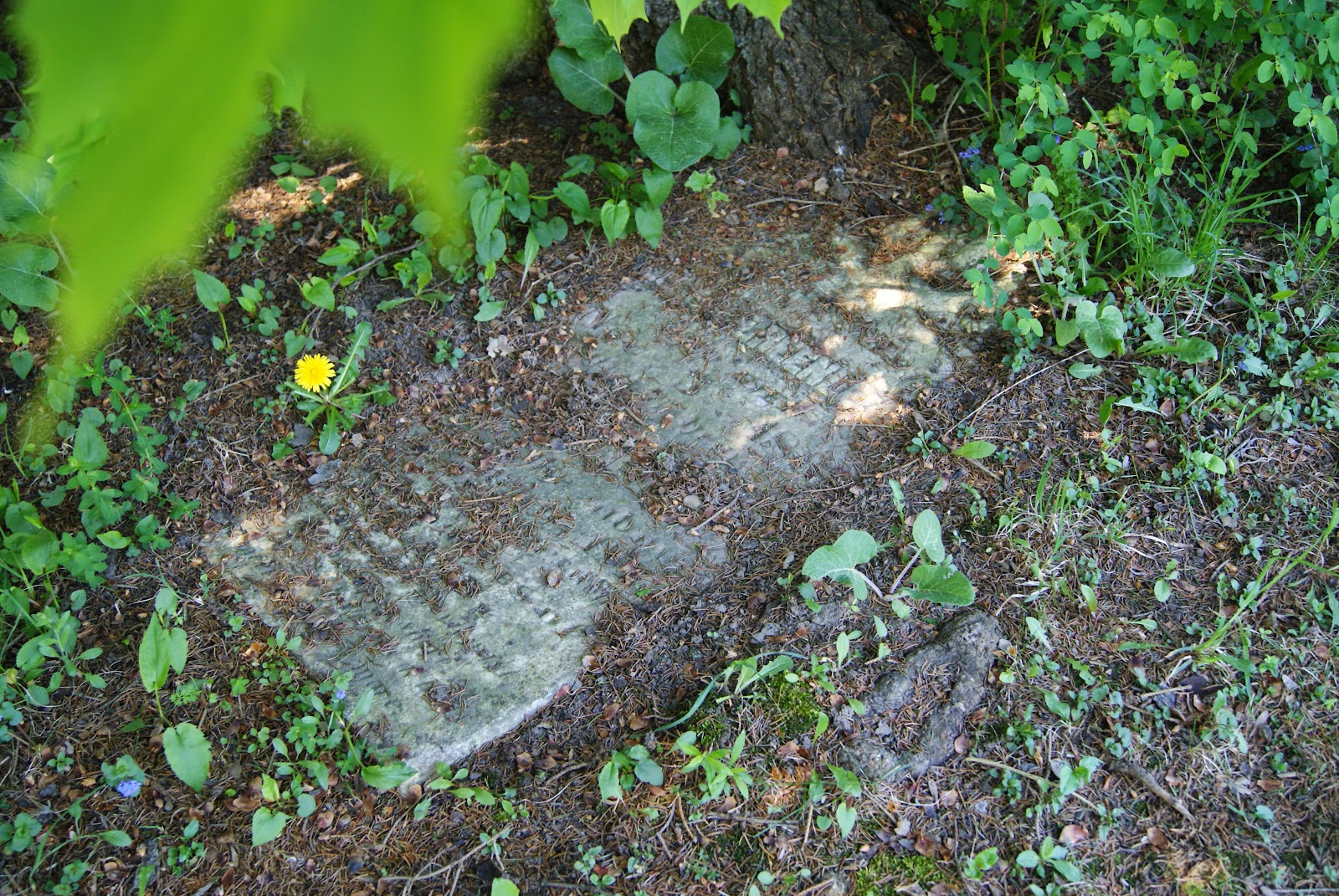 The Jolly Taphophile (Graveyard Junkie) Lowville United Cemetery