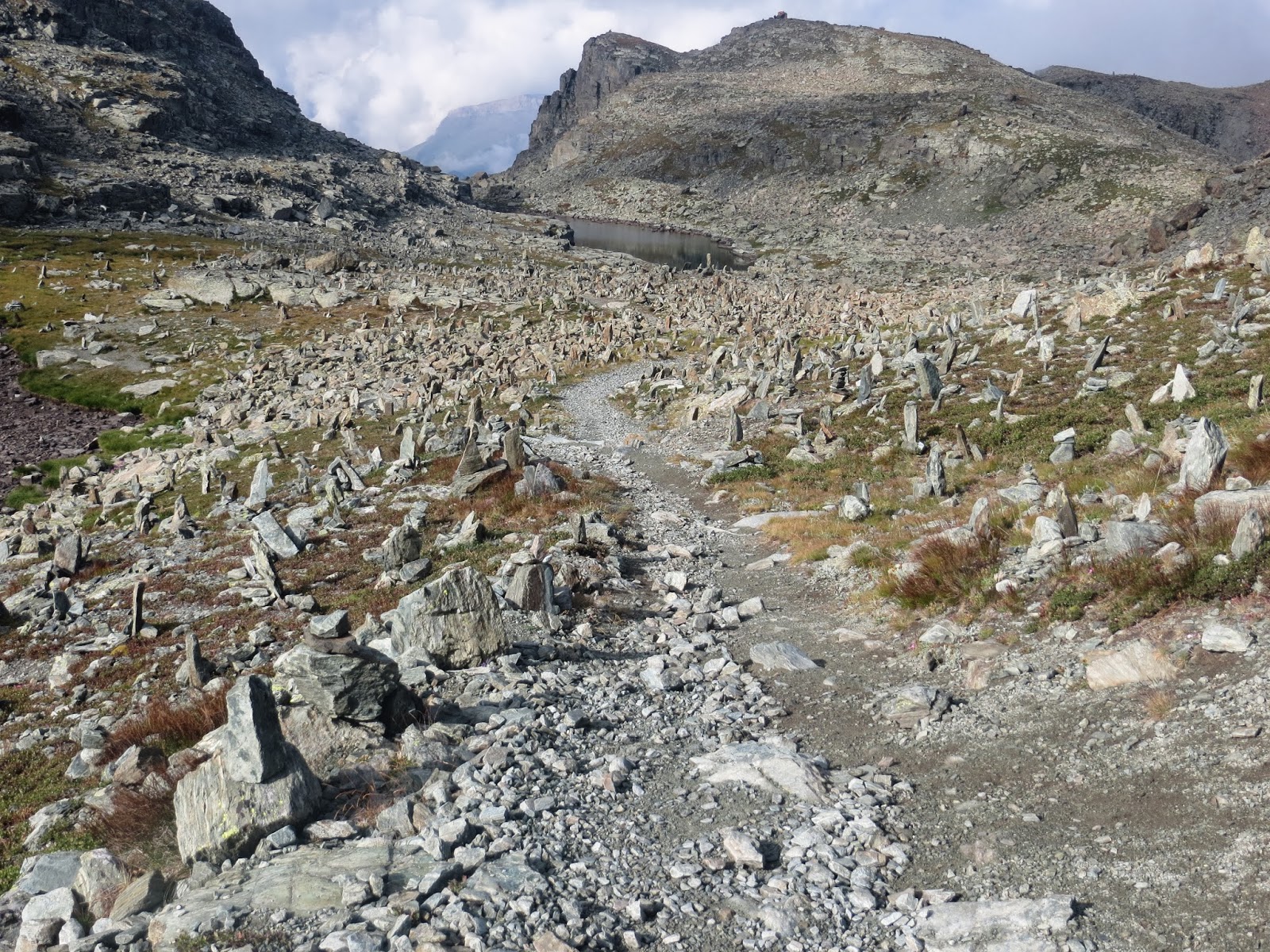 La rimaye: l'amour des montagnes: La reine des Alpes Maritimes: Cima ...
