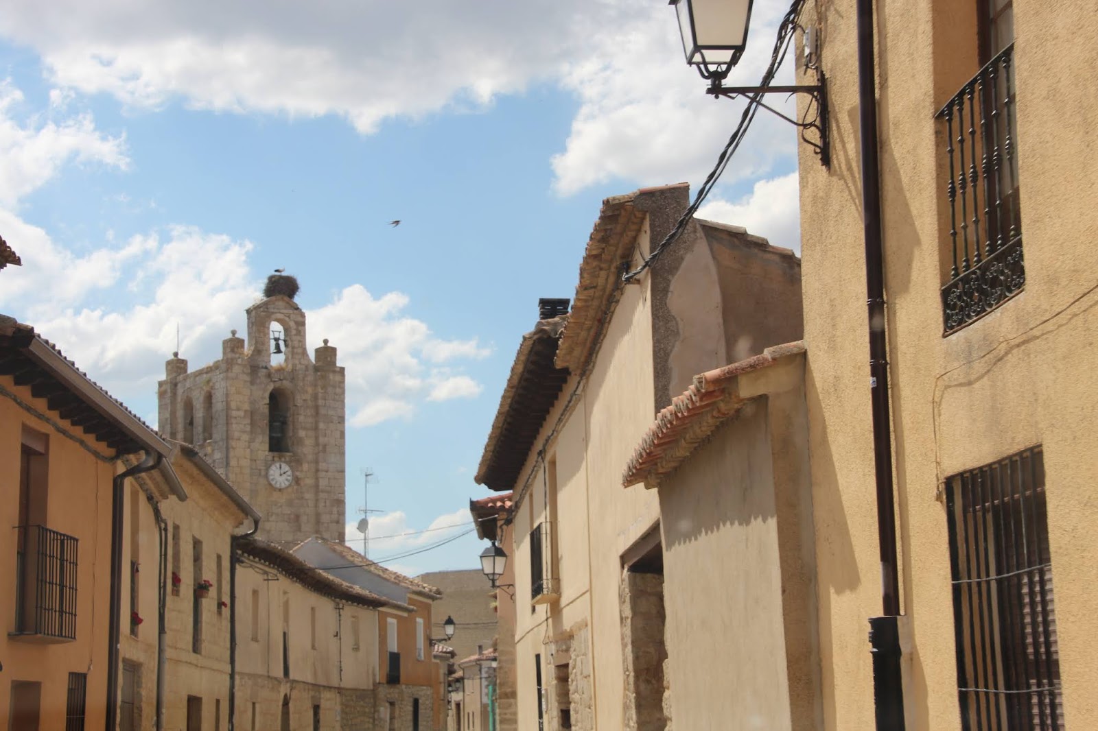 Historia y Genealogía Meneses de Campos y Montealegre de Campos. Palencia