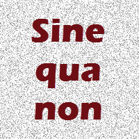 Estudando Letras Sempre: SINE QUA NON - SIGNIFICADO