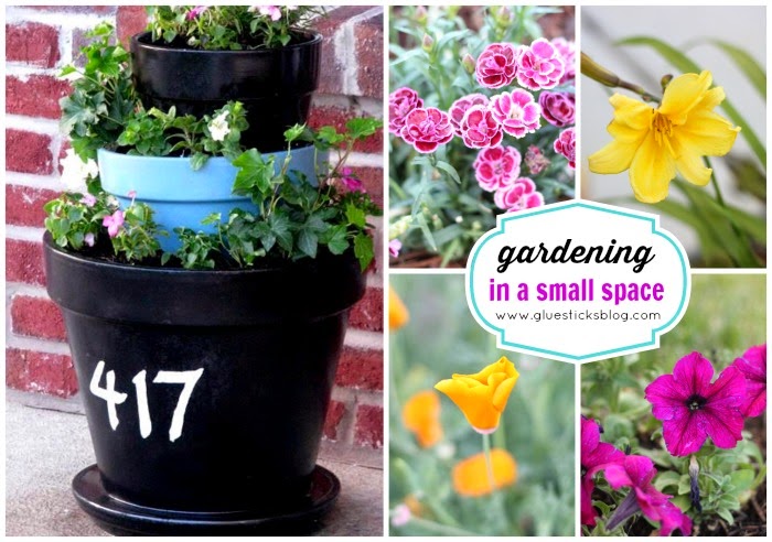 collage of gardening and flowers