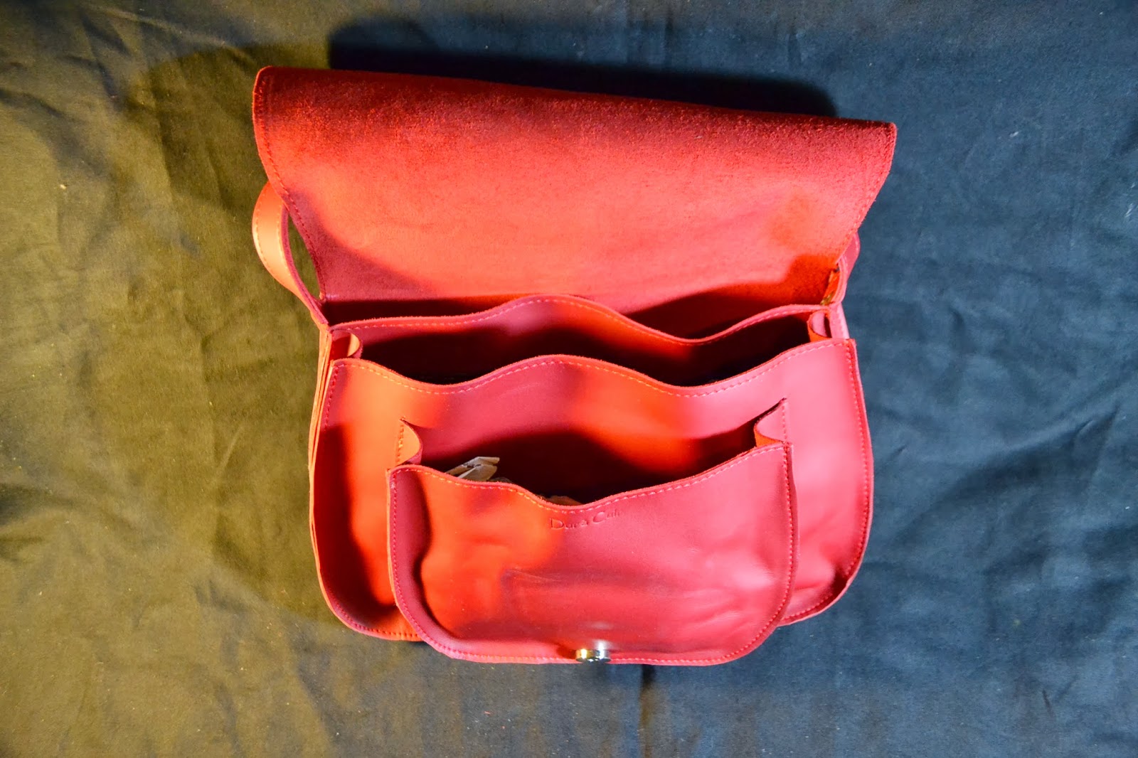 Dur à cuir: Sacs, besaces en cuir sérigraphie "insectes"