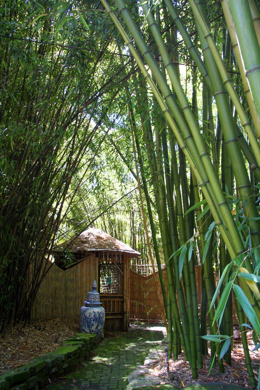 The passionate maker