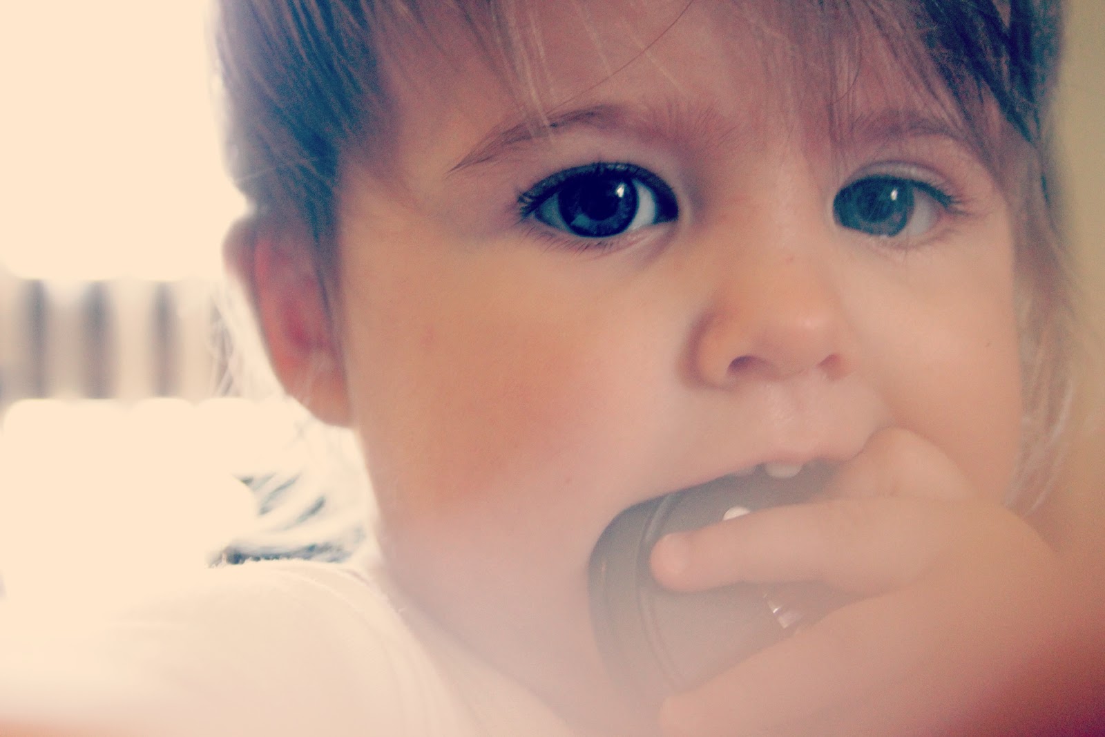 Wordless Wednesday 12 Months wordless-wednesday-12-months
