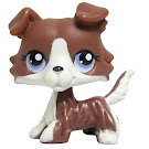 Littlest Pet Shop Special Collie (#No #) Pet