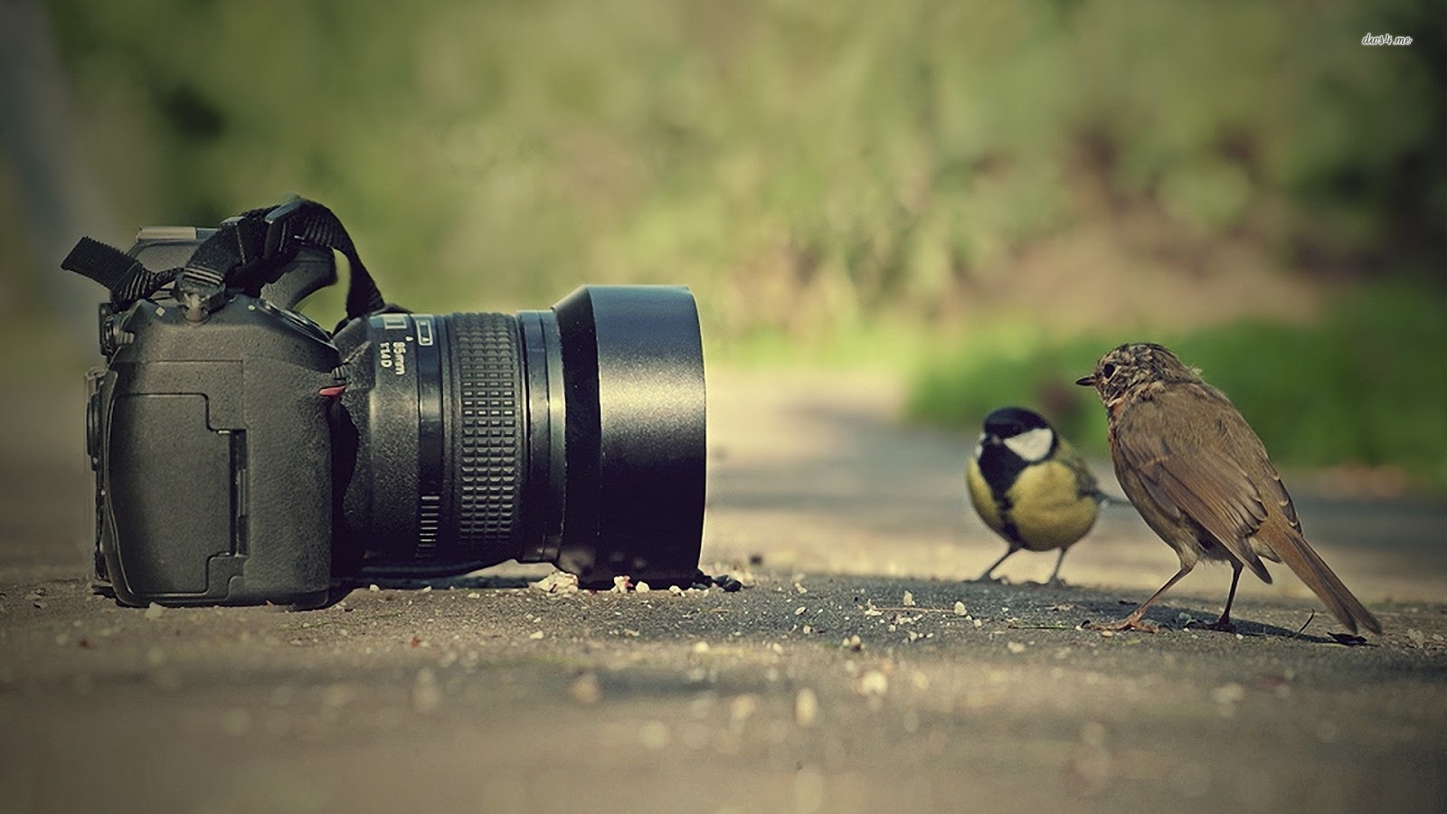A New View Photography: June 2015 A New View Photography: June 2015