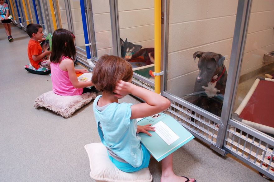 Kids read to shelter dogs not only to keep them company but also to make them more adoptable - Children Practice Their Reading Skills To Calm Shy Shelter Dogs Kids read to shelter dogs not only to keep them company but also to make them more adoptable - Children Practice Their Reading Skills To Calm Shy Shelter Dogs