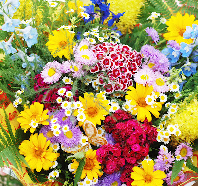 Banco de Imágenes Gratis: 20 fotos gratis de rosas, tulipanes y