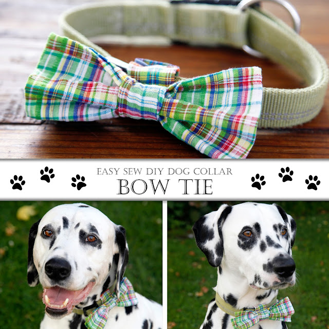 Dalmatian DIY DIY Easy Sew OvertheCollar Bow Tie for Dogs