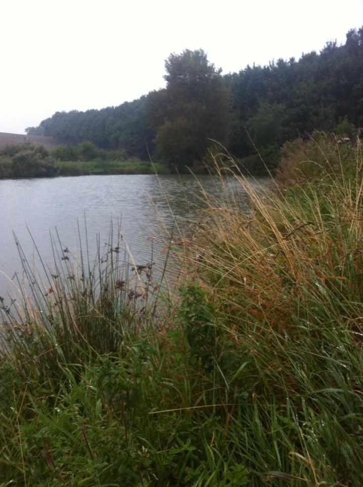 UK fishing venues Mushroom Ponds (Far Pond) Venue Review