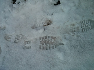 snowy prints