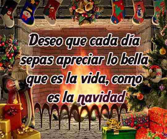 Palabras bonitas para dedicar en estas fiestas navideñas Palabras bonitas para dedicar en estas fiestas navideñas