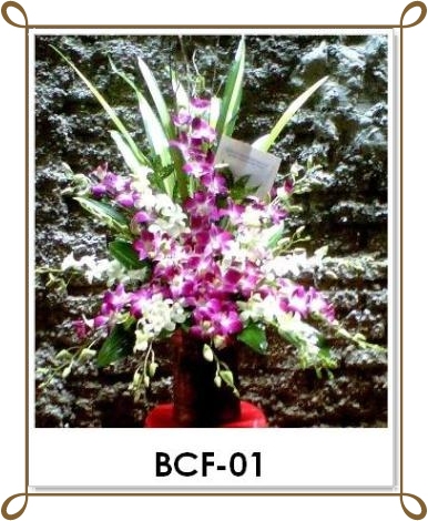 Jual Bunga Anggrek - Toko Bunga | Florist Jakarta | Toko Bunga Online