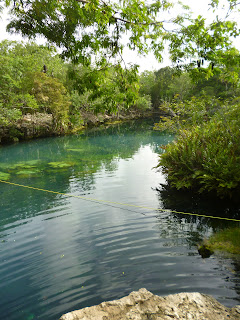 México, qué padre!! - Blogs de Mexico - Buceo en playa del Carmen y cenote Jardín del Edén (5)