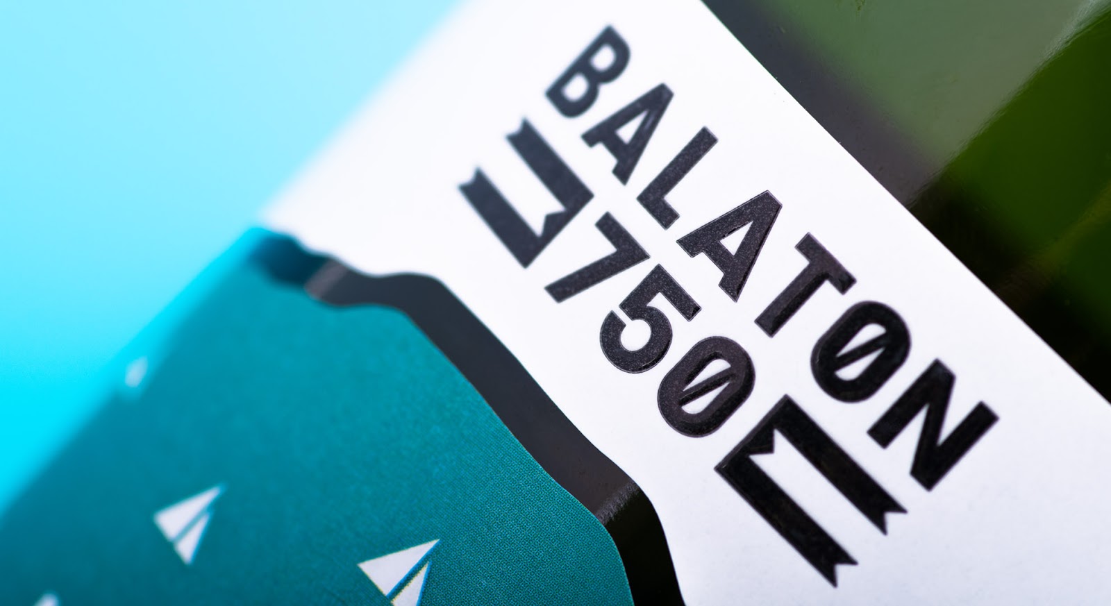 Travelling Weasels Balaton Sound 2017 Review European Electric