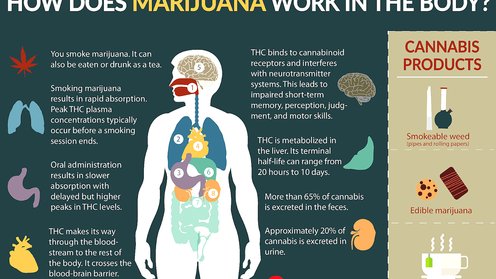 Danger Of Smoking Weed Danger Choices