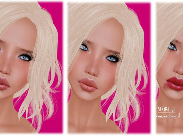Cara update blog Cara update blog