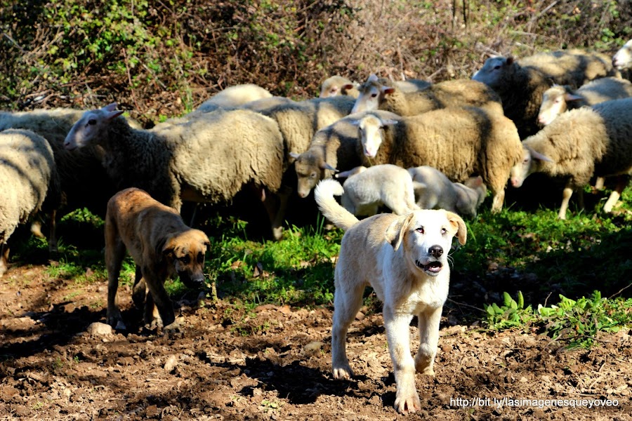 Las Médulas. Ponferrada. León. España