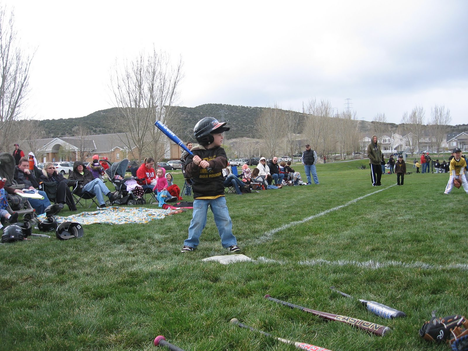 the-greenwood-family