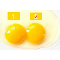 how double yolk eggs are made