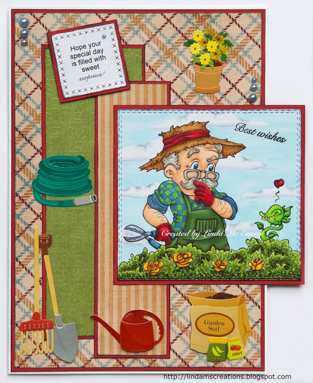 What is shelter picture