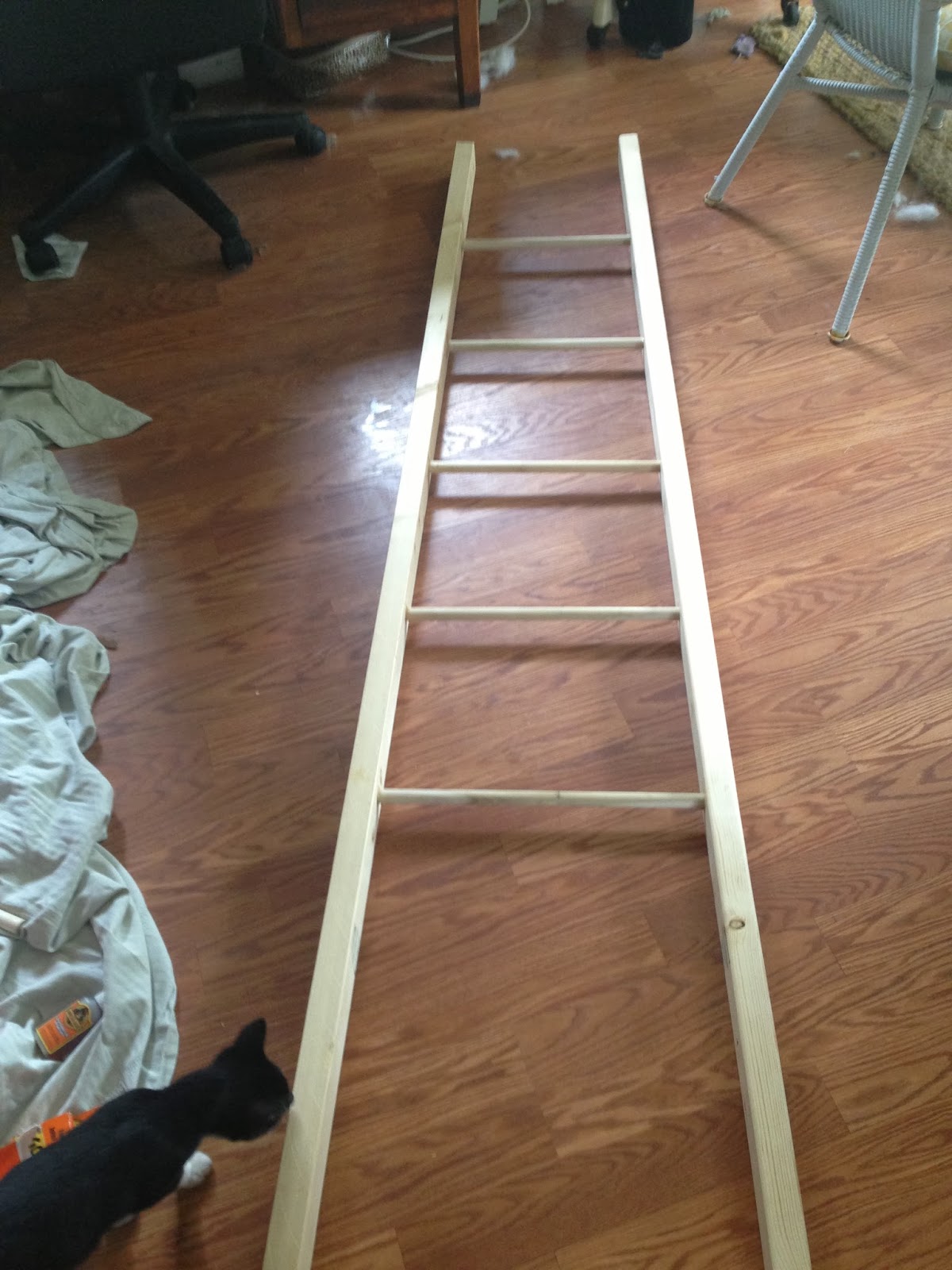 The Daily Wink DIY Decorative Ladder