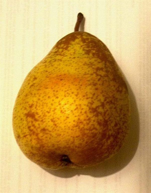 Olhai os lírios do campo: Pera Rocha é Estrela em Campanha no Brasil