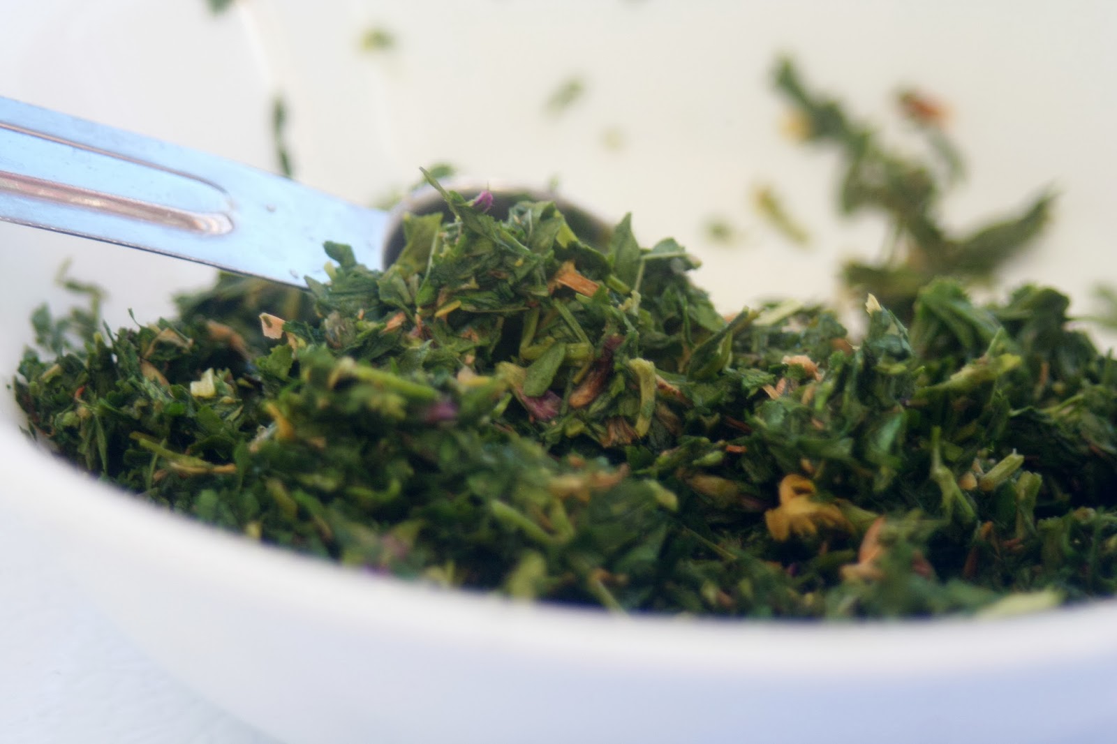 Thankful Expressions Tallow Tabs for Dogs