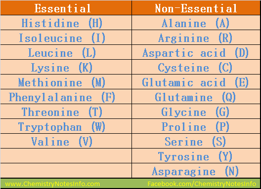 List of Essential Amino Acids and list of Non-Essential Amino Acids