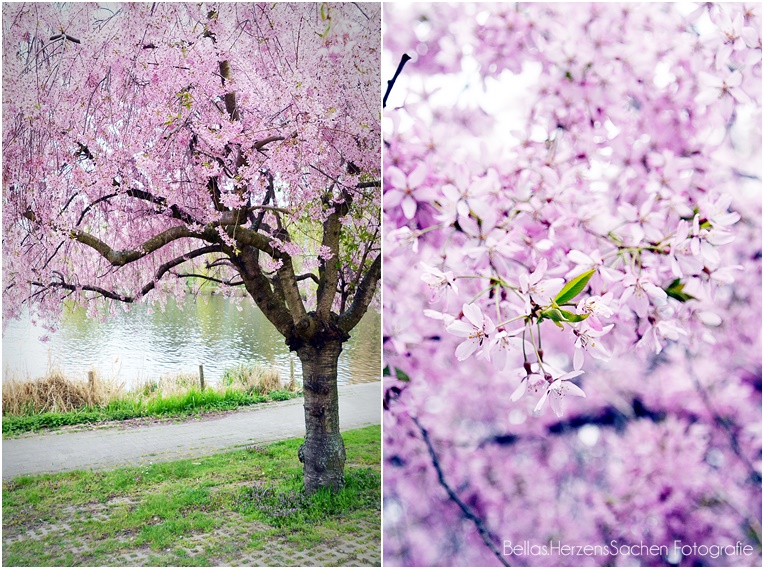 Sauna In Potsdam Urban Sports Club