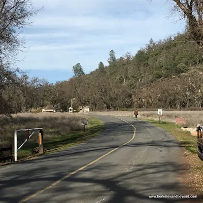 road into Clear Lake State Park in Kelseyville, California