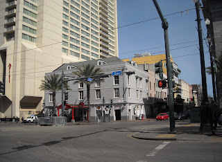 Palm Trees on Canal New Orleans LA