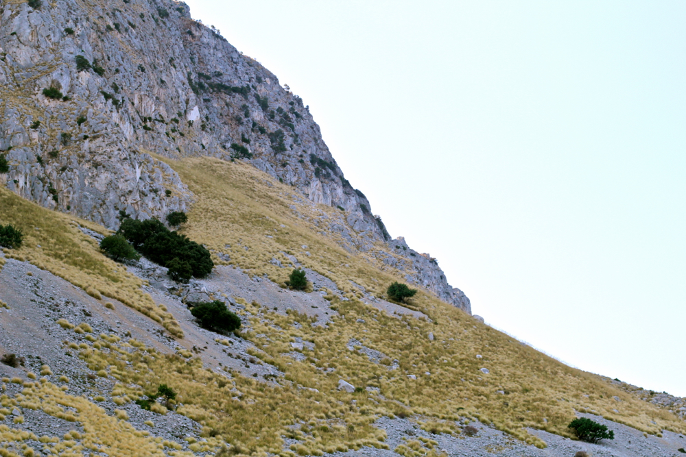 BLOG MODE HOMME PREPPY CONSEIL STYLE PARIS ELEGANCE TENDANCE BLOG MODE HOMME PREPPY CONSEIL STYLE PARIS ELEGANCE TENDANCE