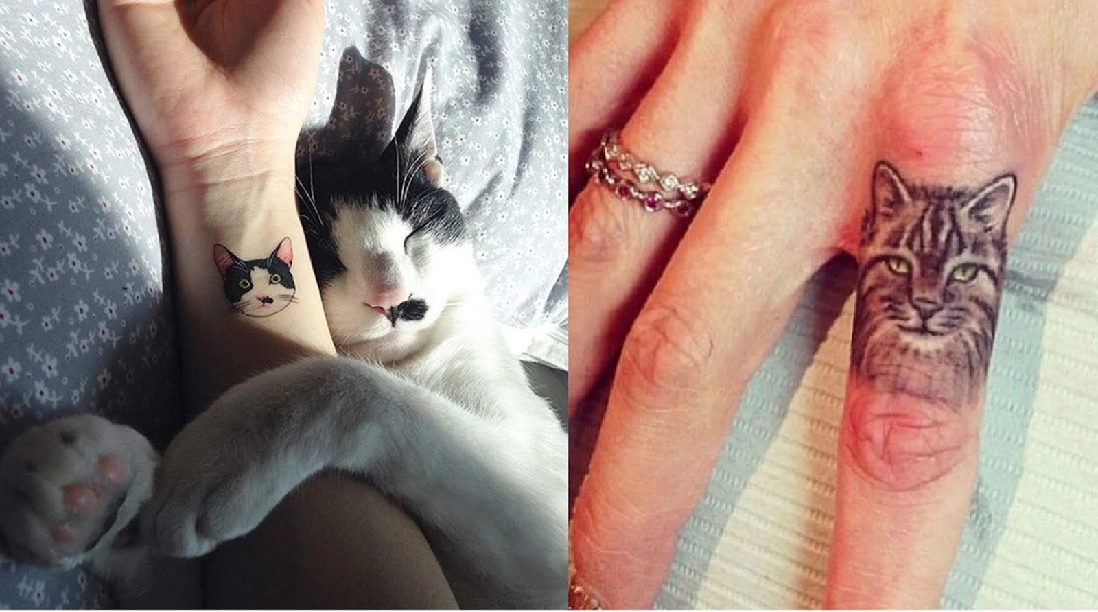 Justicia Alfombra de pies mal humor Tatuajes minimalistas para amantes de los gatos