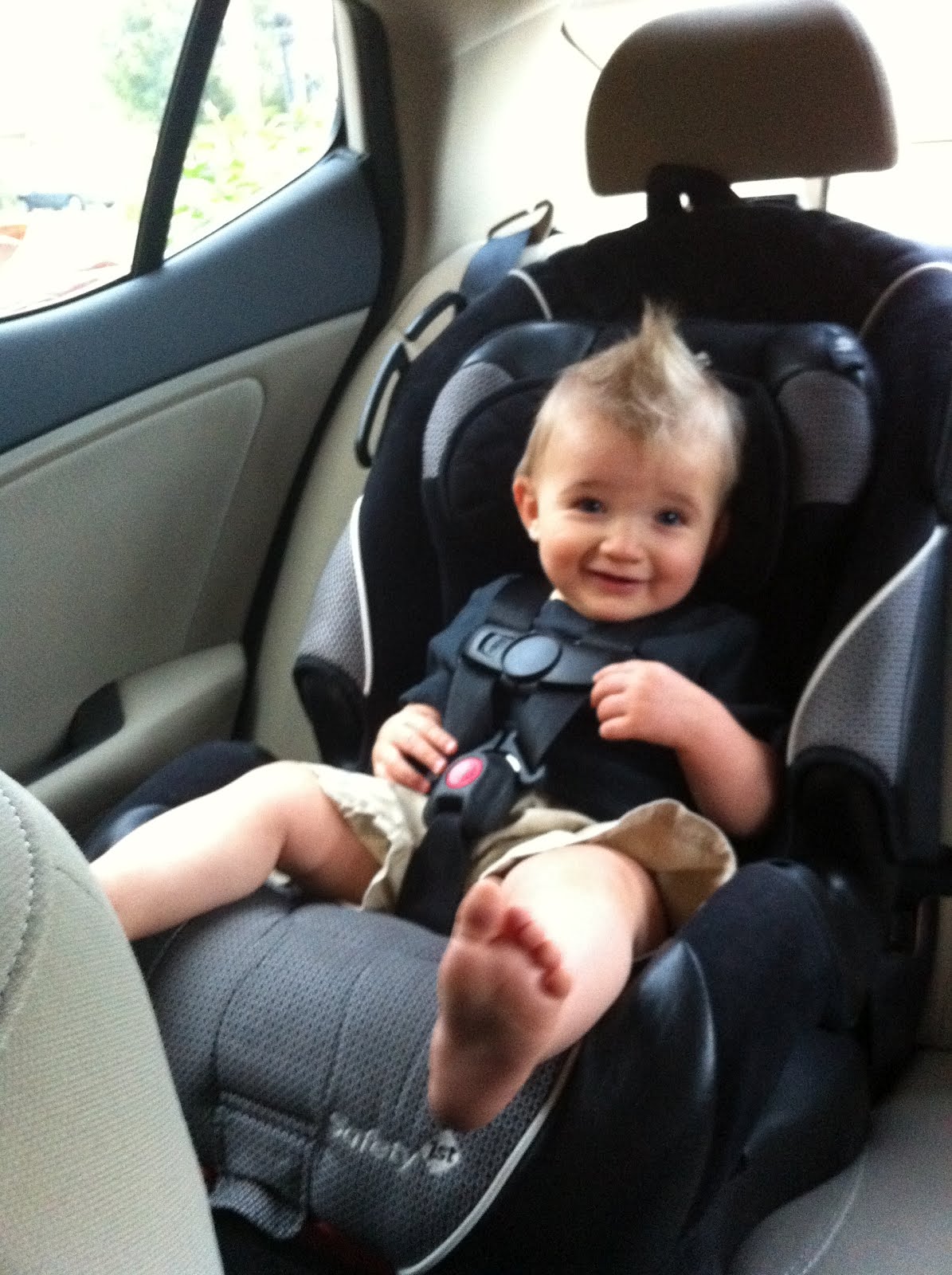 the-lutz-family-big-boy-seats
