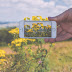 Perfect Camera Smartphone for You, Choose best one. - VedTech.xyz