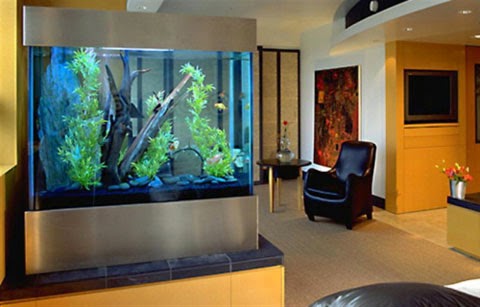 Ideas to put an aquarium