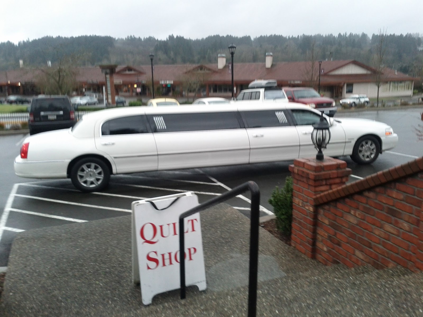 I Have A Notion Sewing and Stitchery Expo Puyallup, WA