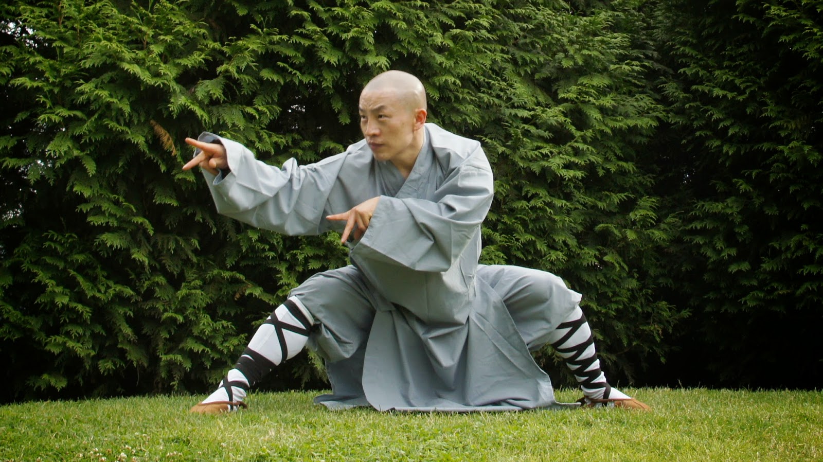 Arta regasirii sau in umbra umbrii tale,Artele martiale kung fu,wing