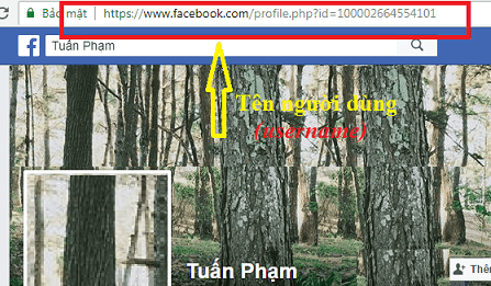 Hướng dẫn cách thay đổi tên đăng nhập Facebook đổi tên đăng nhập Facebook_6